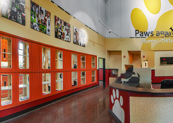 Special Projects | Featured Project: Paws and Claws